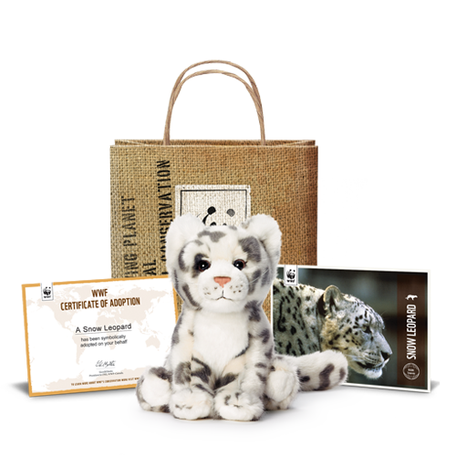 snow leopard adoption kit