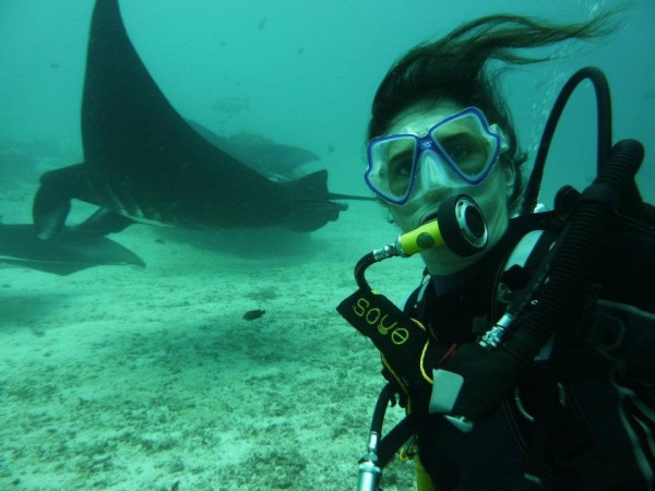 Filter feeding at a grand scale: manta rays received protection under CITES, a major conservation success of 2013.
