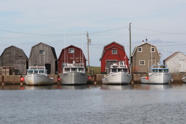 Fishing boats in Malpeque, PEI. Photo Credit:   Michael Lee 