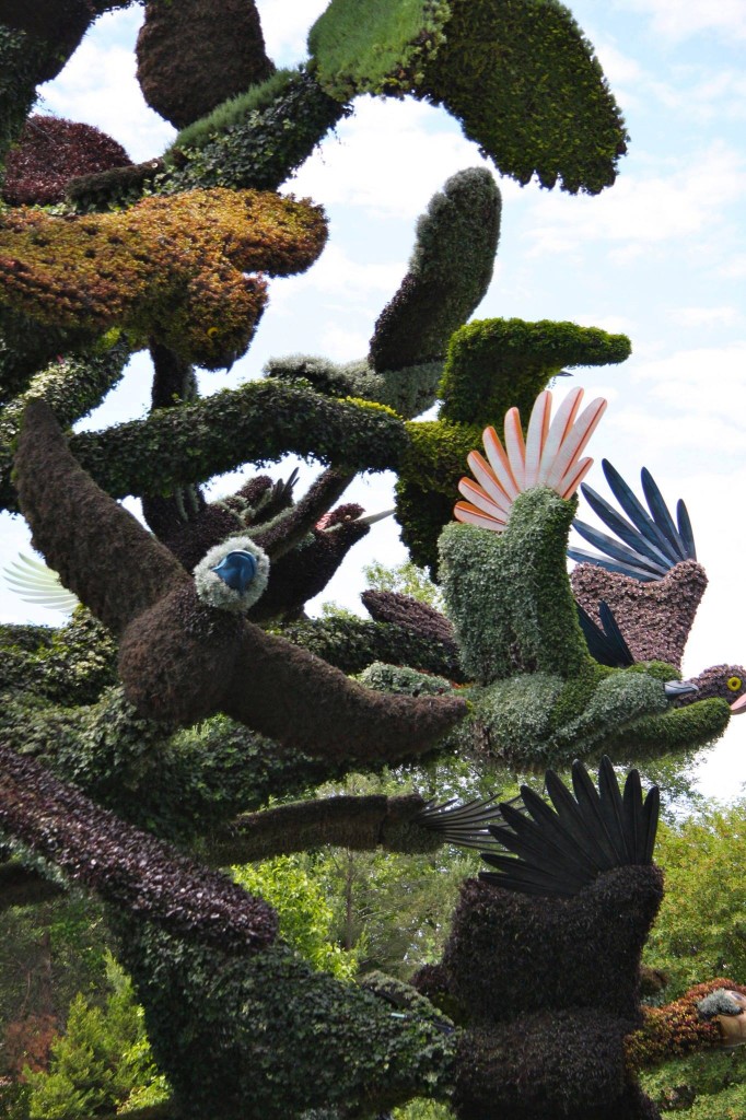 MIM2013_arbre aux oiseaux
