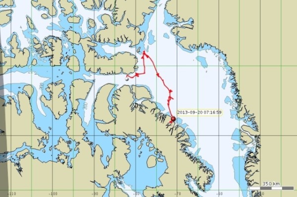 Arctic Killer Whale tracker, September 20, 2013