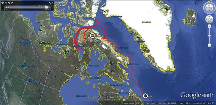 The path that Arctic Killer Whales took while being tracked over an 8 week period