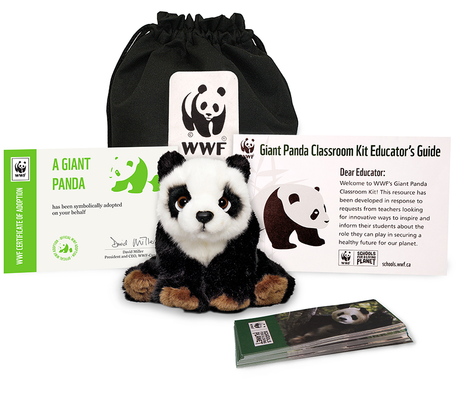 The new Giant Panda Classroom Kit