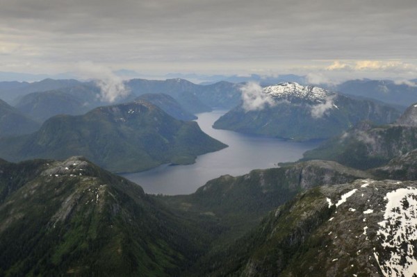 Aerial view of Great Bear Rainforest looking north over Foch-Gittoyess, British Columbia, Canada. © Andrew S. Wright  / WWF-Canada