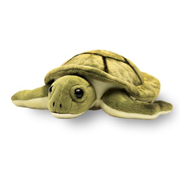 Symbolically adopt a sea turtle from our online store and help support WWF’s conservation efforts.  © WWF-Canada