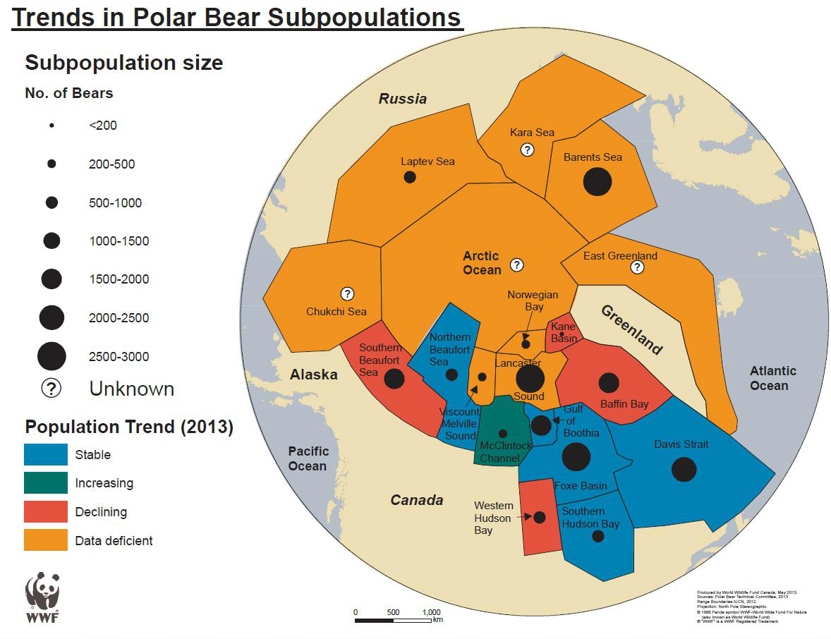 Trends in Polar Bear Subpopulations 2013 © WWF