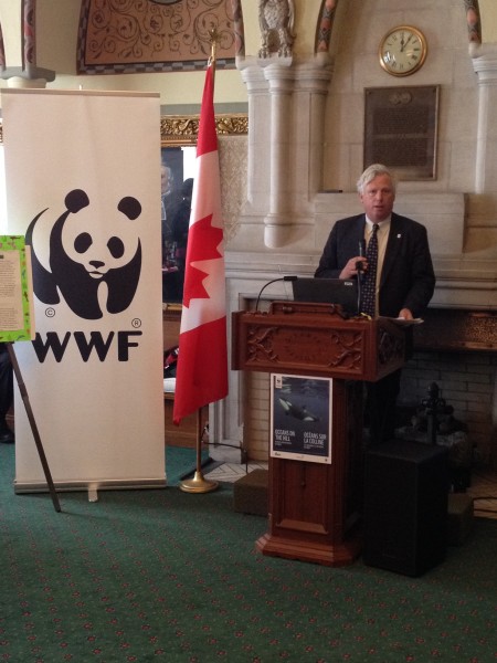 WWF-Canada's President and CEO David Miller speaks at a Parliamentary reception on ocean noise. 1 April 2014 