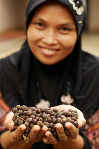 A Woman Showing Lampung Coffee Bean ©  WWF-Indonesia/Des Syafrizal