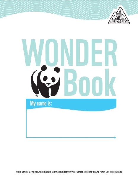 Wonder Book