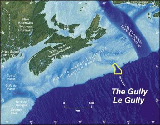Th Gully map1