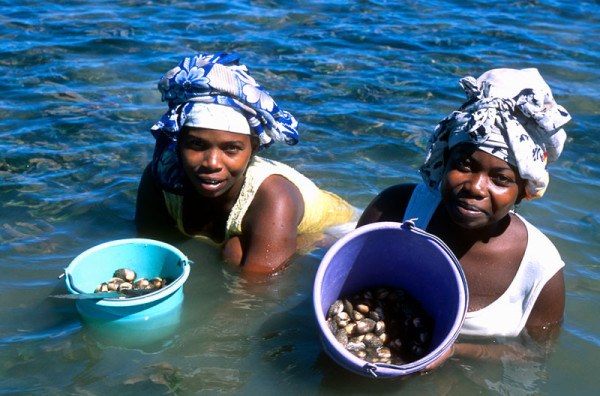 Sea harvest, Nosy Bé Island, Madagascar. ©Hartmut Jungius/WWF-Canon