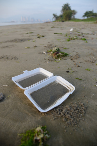 Thrown away Styrofoam takeout carton sitting on the beach.  ©iStock  
