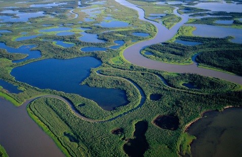 Mackenzie River Delta