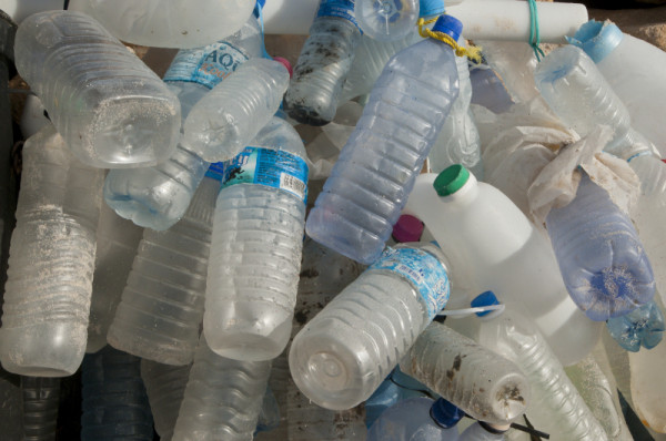Plastic water bottles collected from a beach.  © Peter Chadwick / WWF-Canon