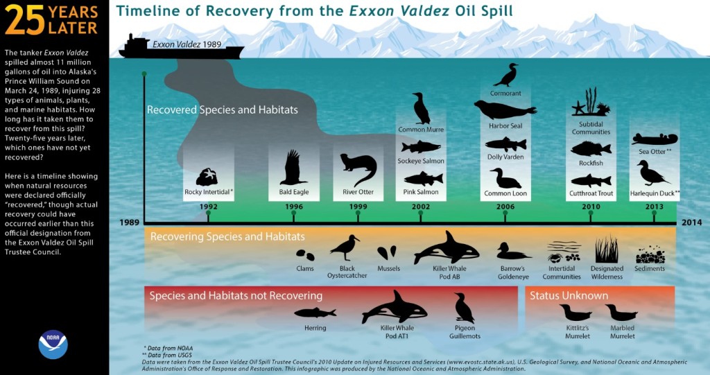 Recovery timeline from the Exxon Valdez Oil Spill Source: NOAA