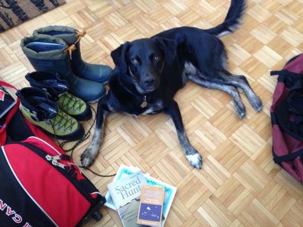 My dog, Daks, helps me pack for tagging narwhal in Grise Fiord. In the photo, you can see some recommended reading from Pete Ewins  and Monte Hummel . © Jacqueline Nunes 