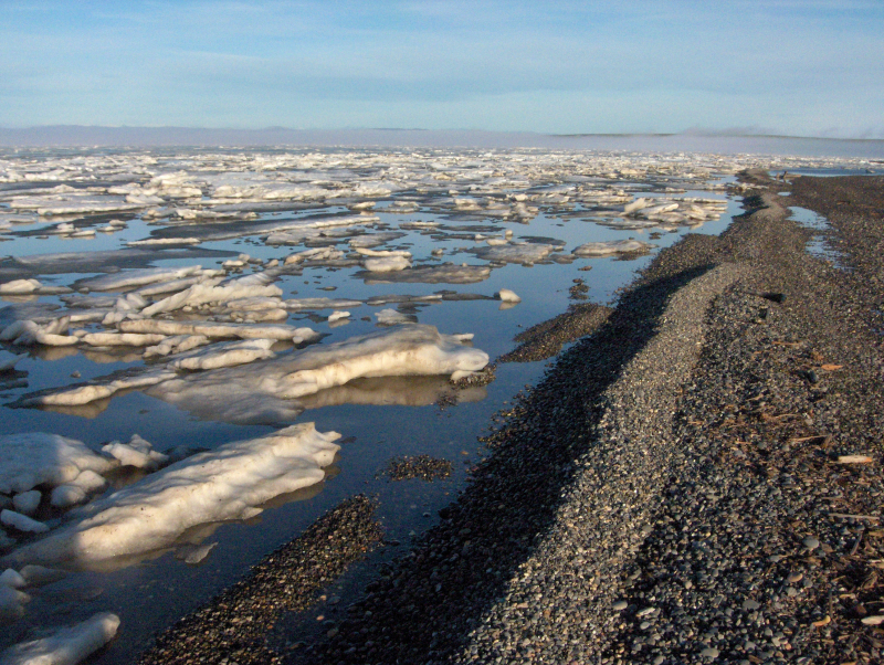 Sea ice near the shore, Beaufort Sea, near Herschel Island, Yukon, Canada. © Monte HUMMEL / WWF-Canada