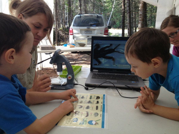 Getting kids started towards a water career - bug (benthic macroinvertebrate) identification during the family day © Simon J. Mitchell / WWF-Canada