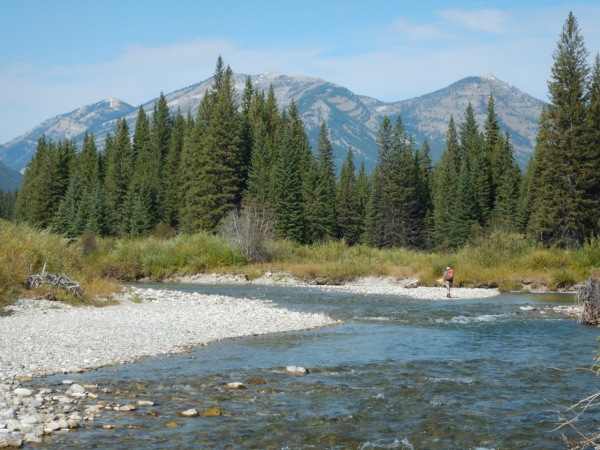 1.© Living Lakes Canada – The picturesque location of Living Lakes Canada’s field work - Flathead River, British Columbia