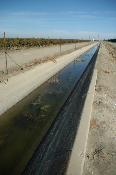 Water from California’s central valley, currently in the worst drought in recorded history, grows grapes for export to countries like Canada. © Alexis Morgan