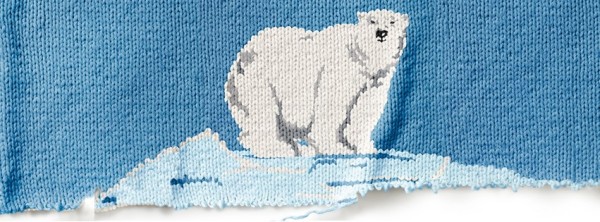 P'tite laine ours polaire