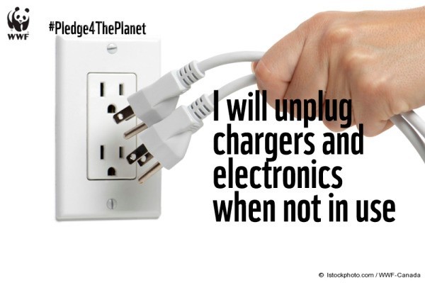 chargeurs