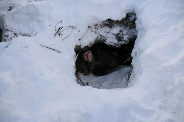 Daryll’s assistant, Vicki Trim, peeks out of an abandoned maternity den. That’s a tight squeeze for a 300-kg polar bear and one or two cubs! © Government of Manitoba