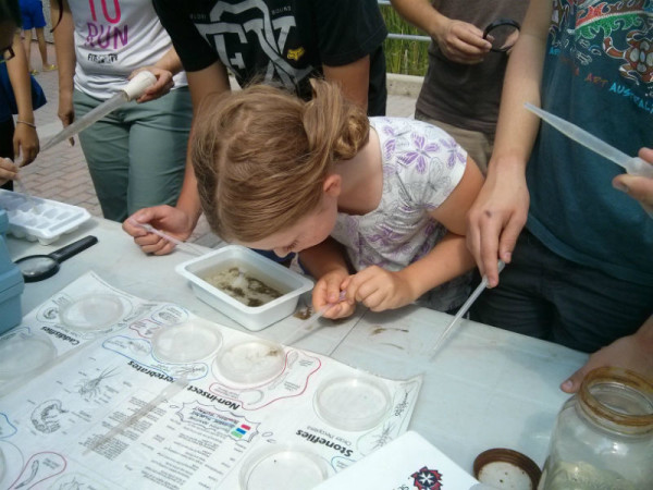 1)Volunteers for Evergreen’s Uncover Your Creeks program learn about the invertebrate bug species living at the bottom of their local creek ©Emily Giles / WWF-Canada