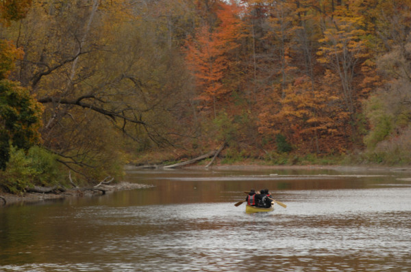 Canoeists paddle the Humber River with trees in autumn colours on each side, Toronto, Ontario, Canada.© WWF-Canada / Noah Cole