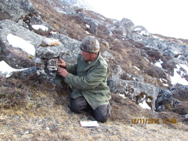 Researcher setting up a camera trap to capture snow leopards. © Rinjan Shrestha