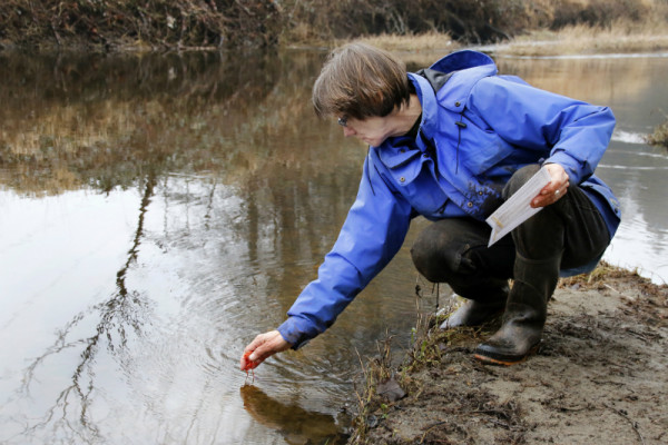  A volunteer measures the water temperature of the Brunette River – an important characteristic that affects the level of dissolved oxygen. © Anice Wong