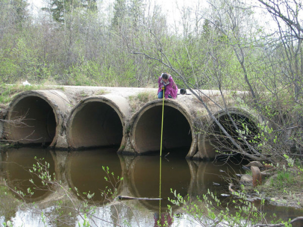 Marina of HWL measuring the culverts that will be replaced with a bridge. © Tammy Lambourne