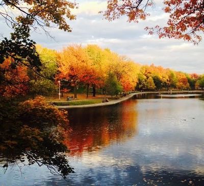 The colours of autumn, Parc Lafontaine in Montreal © Julie G.