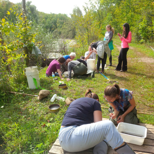 Teachers at our September 19th training session to investigate the benthic biodiversity along the trails of Terra Cotta Conservation Area. © EcoSpark