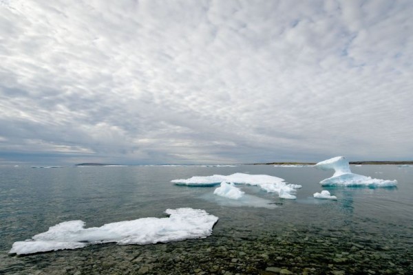 Chunks of broken, melting icebergs floating on the water at Resolute Bay, Qikiqtaaluk Region, Nunavut, Canada