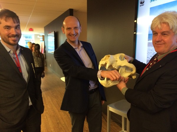 Christian Polge, President of Coca-Cola Ltd. with WWF-Canada’s conservation experts Pete Ewins and James Snider and a polar bear skull at an Coca-Cola employee Arctic Lunch and Learn. © Coca-Cola Canada 