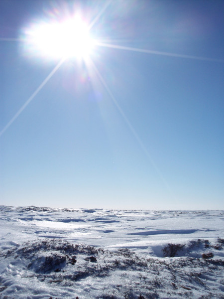 Cold sunny day in Wapusk National Park, Canada