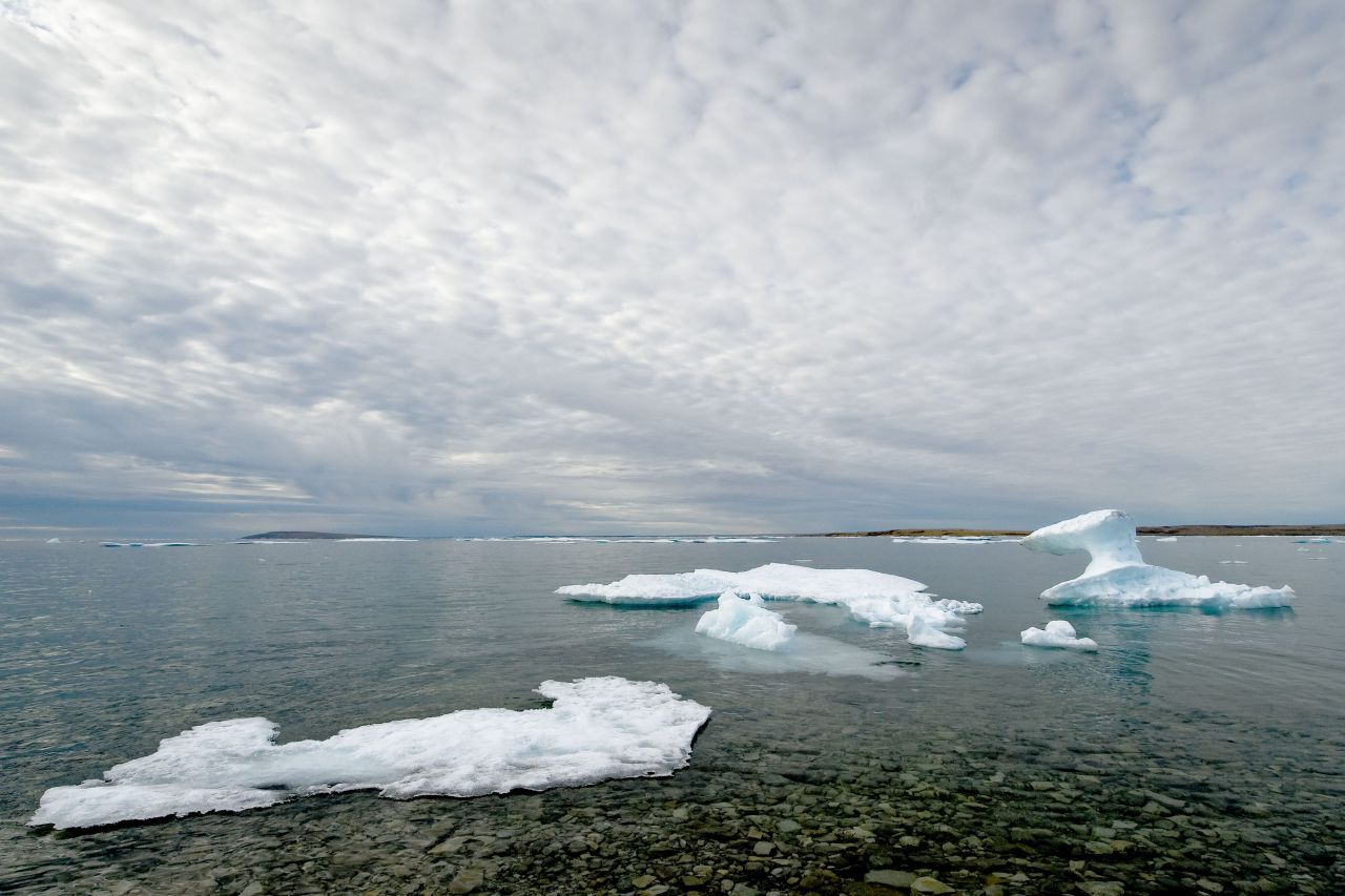 Chunks of broken, melting icebergs floating on the water at Resolute Bay, Qikiqtaaluk Region, Nunavut, Canada. © Andrew S. Wright / WWF-Canada