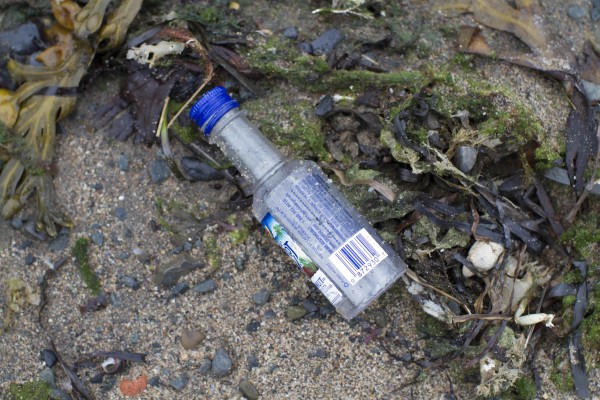 Plastic pollution is rampant at shorelines. © CP Photography