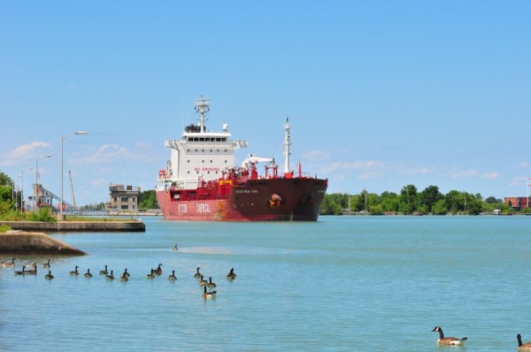 The Welland Canal, part of the St. Lawrence Seaway, allows ships to detour Niagara Falls and pass from Lake Erie to Lake Ontario. © Frank PARHIZGAR / WWF-Canada
