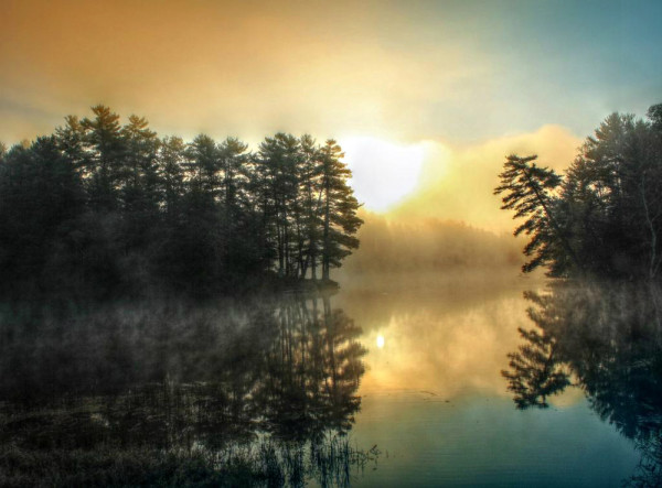 The photo was taken on a very misty morning, not too long after sunrise somewhere in the Kawarthas. © Martin Thoene