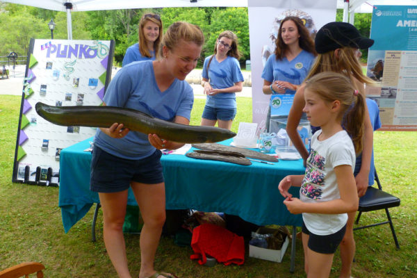 A participant examines an eel at a 2015 Wave Maker’s event. © Riverkeeper