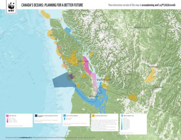 Layered map of Salish Sea and surrounding area showing orca critical habitat, important bird areas and more.