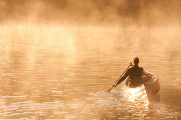 A canoeist paddles through the morning mist on the Coulonge River near Réserve faunique, La Vérendrye, Quebec, Canada. © Tim Irvin / WWF-Canada