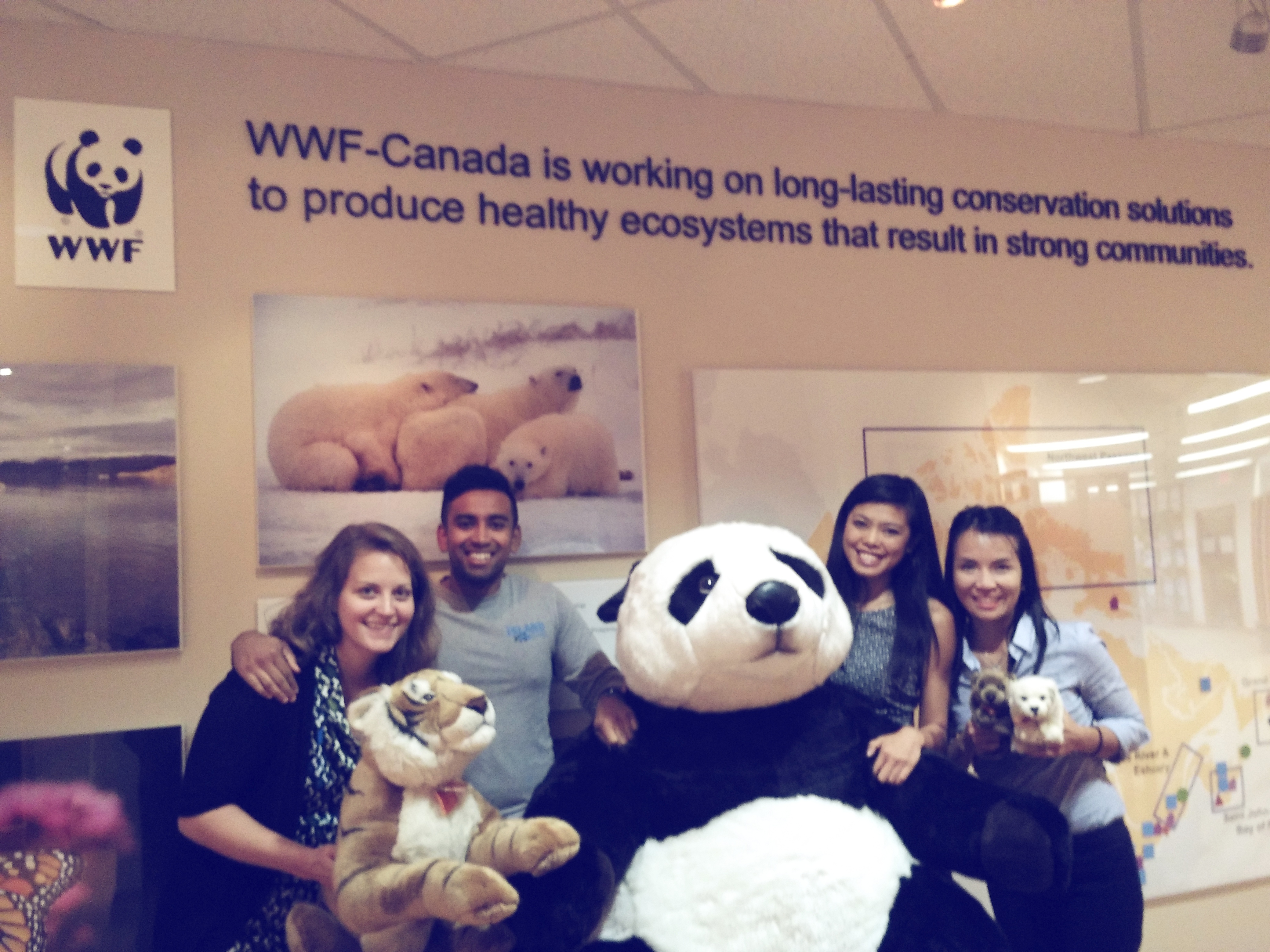 Joyce with the Living Planet @ Work team at WWF-Canada's head office. © Joyce Kwan