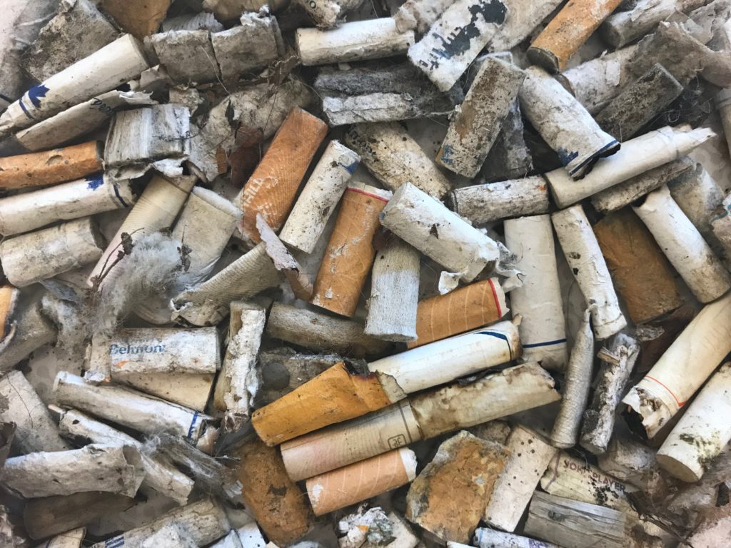 A pile of discarded cigarette butts found during a 2018 Canadian Shoreline Cleanup.