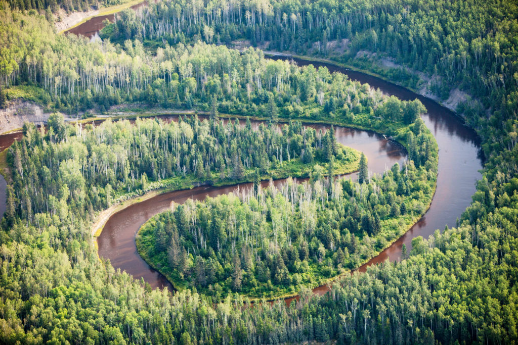 A river cuts through intact boreal forest in northern Alberta.