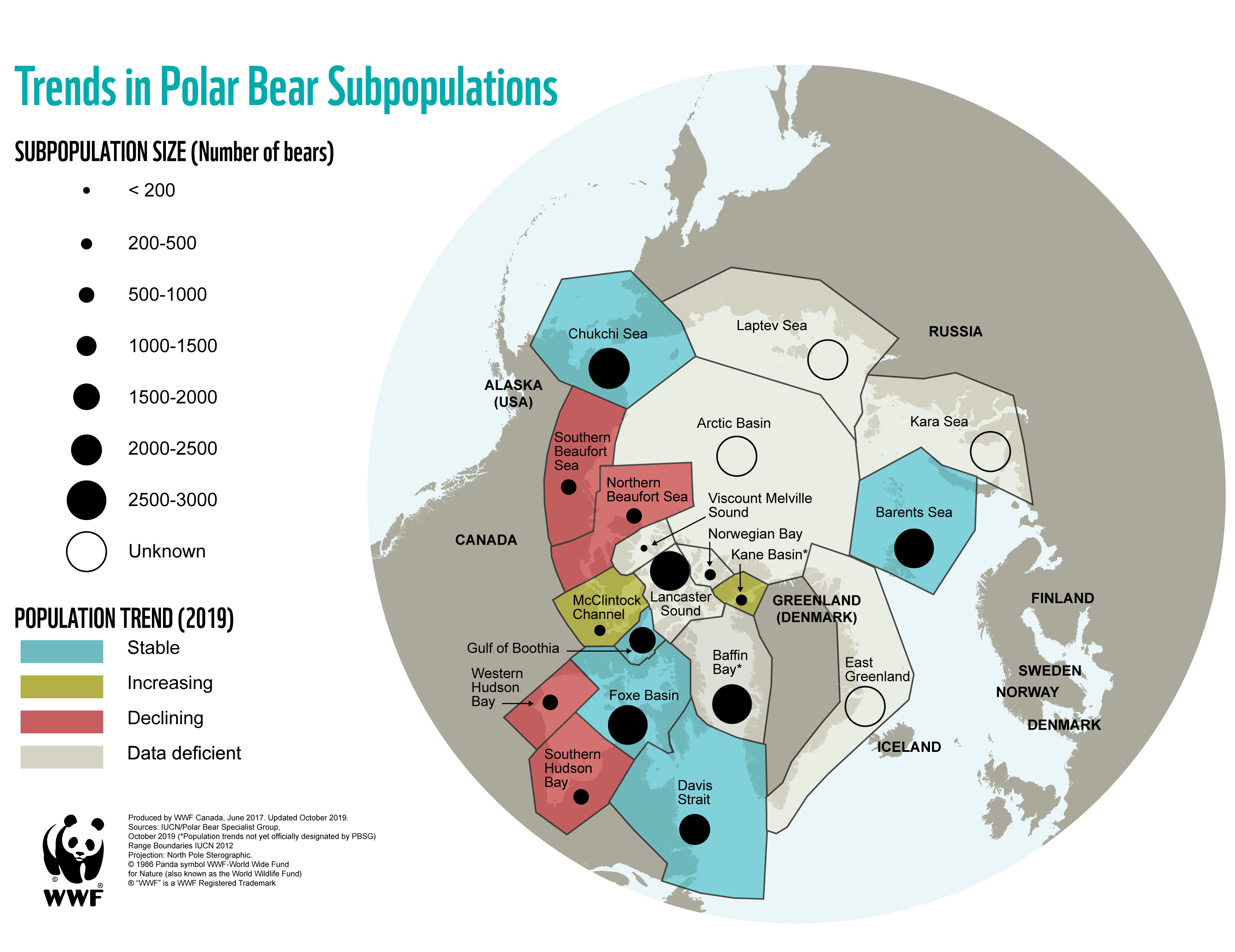 Polar Bears Species Facts, Info & More WWF.CA