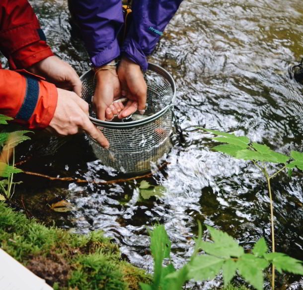 Image of two scientists testing freshwater samples
