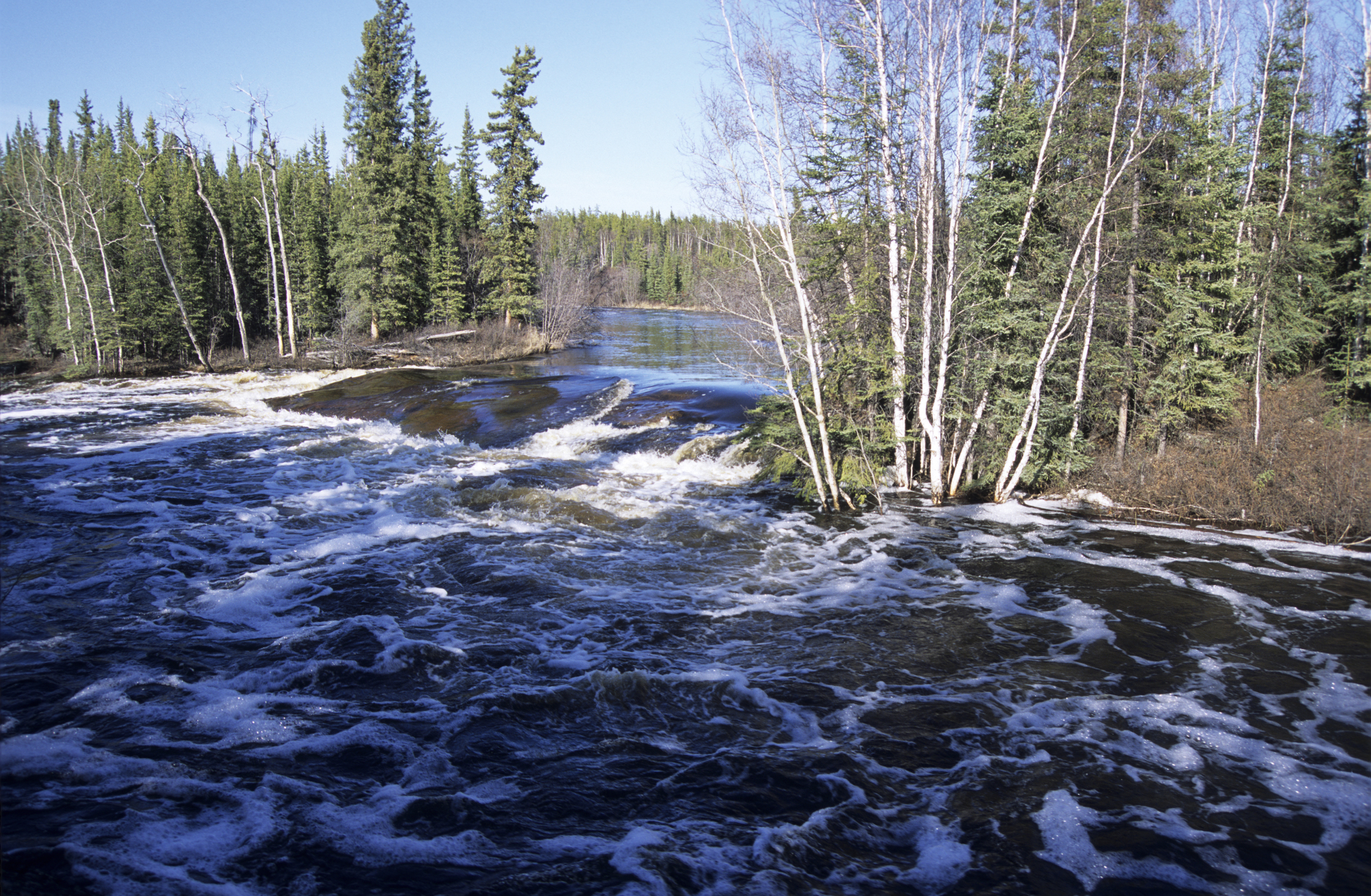 Boundary Creek flows through the forest in the  Northwest Territories, Canada.